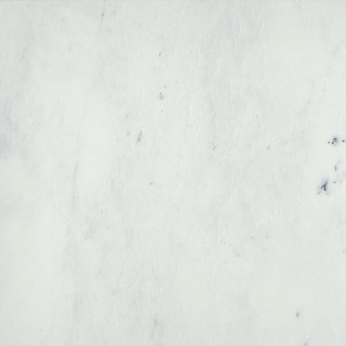 Marble Classico Polished Winter Frost 24x24 marble tile with a polished finish